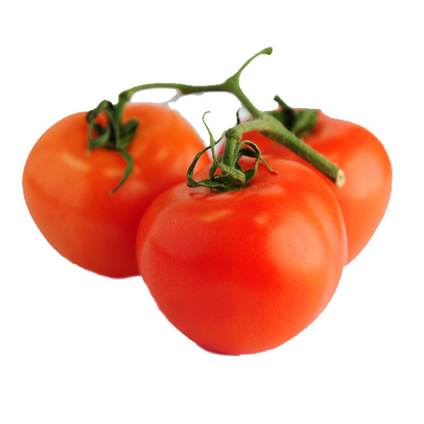 עגבניה אשכולות מובחרת
